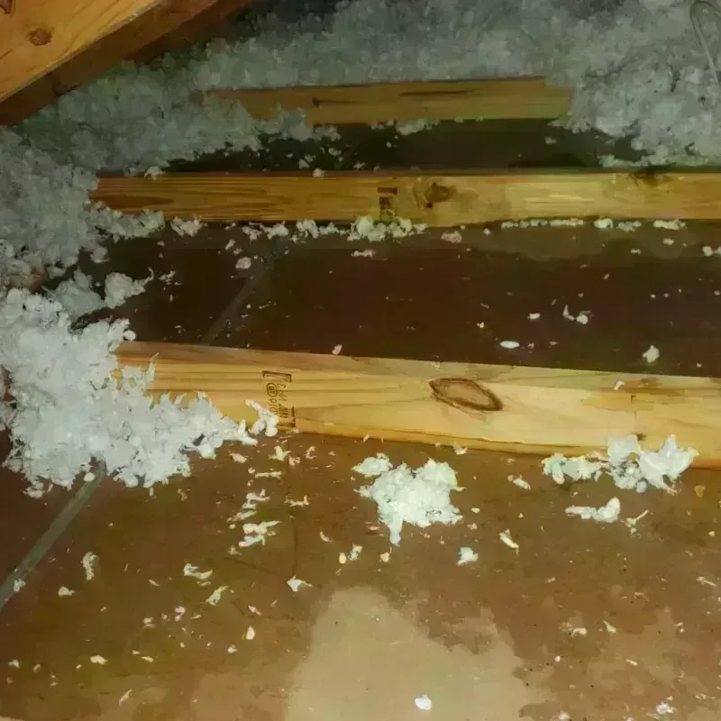 Attic Water Damage in Loving County, TX