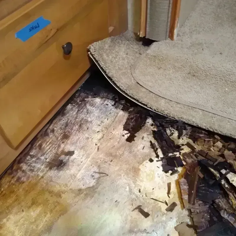 Wood Floor Water Damage in Loving County, TX